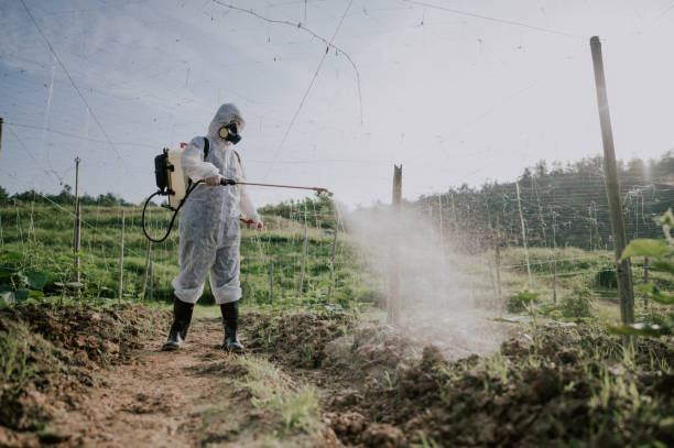 Best Pest Prevention Services  in Torrington, CT