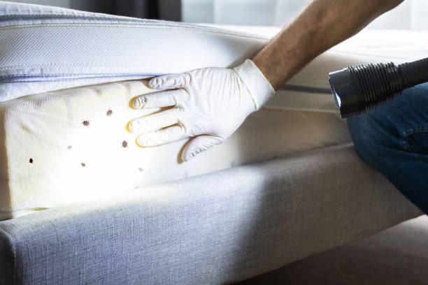 Best Exterminator Services  in Torrington, CT