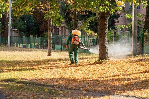 Best Best Pest Control Companies  in Torrington, CT