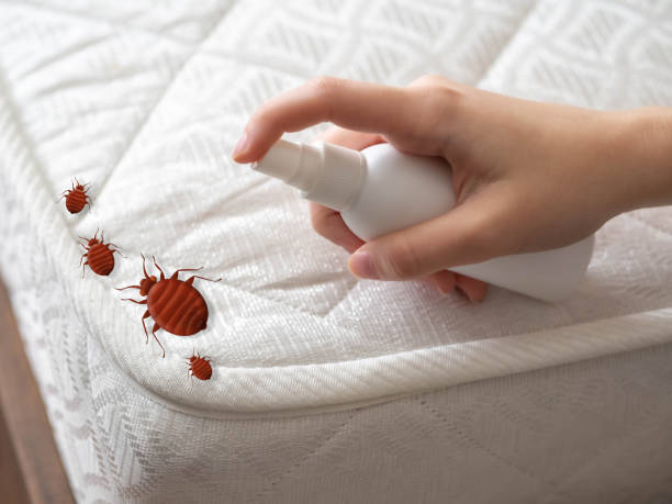 Best Commercial Pest Control Services  in Torrington, CT